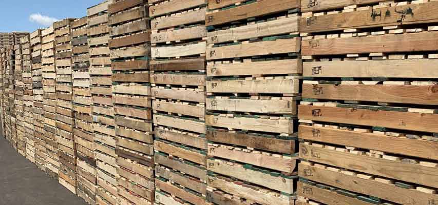 Buy Used Pallets - Recycled Pallets for Sale in Phoenix, Arizona