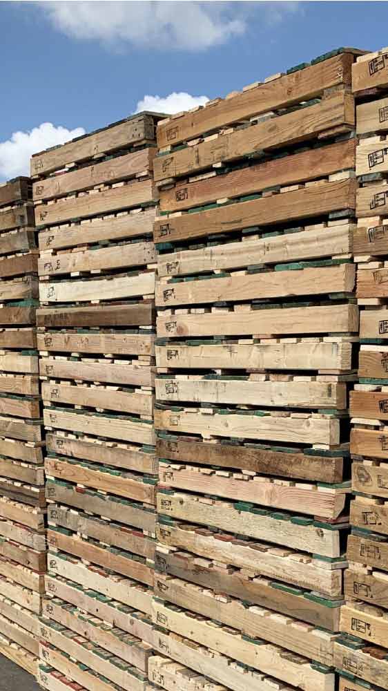 Used Pallets for Sale in Phoenix, Arizona